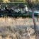 Mabula Game Lodge - 225522
