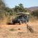 Mabula Game Lodge - 225523