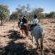 Mabula Game Lodge - 225528