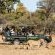 Mabula Game Lodge - 225529