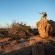 Mabula Game Lodge - 225531