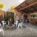 Temba Private Game Reserve Olive Park Safari Lodge  - 225570