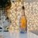 Lavender Farm Guesthouse - 225763