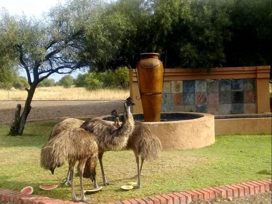Almar Exclusive Game Ranch - 225819