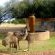 Almar Exclusive Game Ranch - 225819
