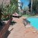 Earthbound B&B - 226324