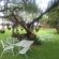 Black Swan Guest House - 226349