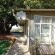 Black Swan Guest House - 226351