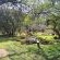 Black Swan Guest House - 226358