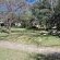 Black Swan Guest House - 226359