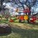 Black Swan Guest House - 226363