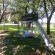 Black Swan Guest House - 226364