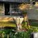 OppiPlasie Guest House - 226483