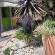 @ 47 Guest House - 226486