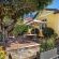 Tom's Guest House - 226516