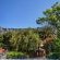 Tom's Guest House - 226571