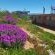 Big Sky Cottages - 226706