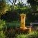 Petite Provence - 226891