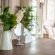 Petite Provence - 226934