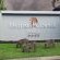 Leopard Corner Lodge - 226959