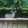 Leopard Corner Lodge - 226972