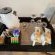 Leopard Corner Lodge - 227064