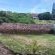Jeffrey's Bay Guesthouse - 227208