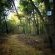 Drakensberg Mountain Retreat - 227558