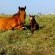 Drakensberg Mountain Retreat - 227565