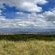Drakensberg Mountain Retreat - 227566