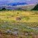 Drakensberg Mountain Retreat - 227569