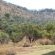 Cynthia's Country Farm Stay - 227660