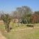 Cynthia's Country Farm Stay - 227661