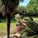 Ipe Tombe Guest Lodge - 227867