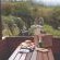 The Fernery Lodge & Chalets - 228054