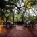 Jaci's Safari and Tree Lodges - 228091