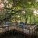 Jaci's Safari and Tree Lodges - 228096