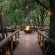 Jaci's Safari and Tree Lodges - 228108