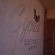 Cycad Guest House - 228183