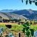 Berluda Farmhouse & Cottages - 228198