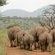 Somkhanda Big 5 Tourism - 228246