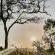 Somkhanda Big 5 Tourism - 228253