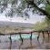 Somkhanda Big 5 Tourism - 228254
