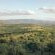 Somkhanda Big 5 Tourism - 228260