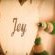 Fest Selfcatering Accommodation - 228556