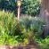 Fest Selfcatering Accommodation - 228558