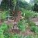 Fest Selfcatering Accommodation - 228560