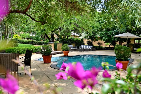 Black Eagle Hotel and Spa - 228680