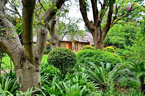 Black Eagle Hotel and Spa - 228685