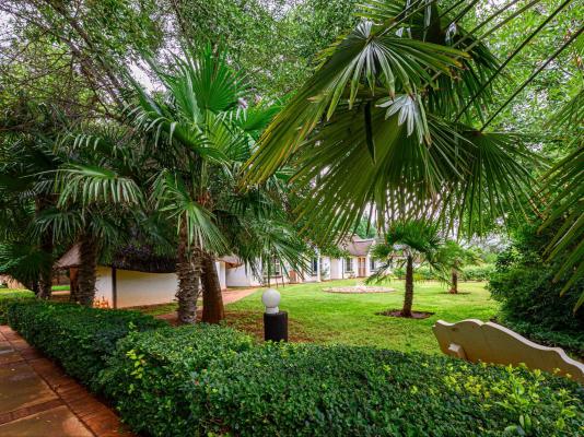 Pecanwood Lodge - 228710